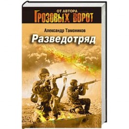 Слушать аудиокниги снайпер разведотряда. Тамоников грозовые ворота. Разведотряд Александр Тамоников. Фото Тамоников писатель. Иваниченко, Демченко: разведотряд.