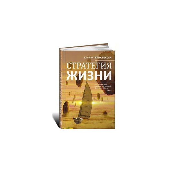 Жизненная стратегия. Стратегия жизни Клейтон Кристенсен. Кристен Клейтон стратегия жизни. Клейтон Кристенсен и книги стратегия жизни. Стратегия жизни книга.