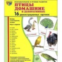 Демонстрационные картинки "Птицы домашние и декоративные" (173х220 мм)