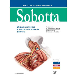 Sobotta. Атлас анатомии человека. В 3 томах. Том 2. Внутренние органы