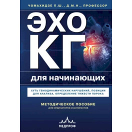 Эхокардиография для начинающих. Суть гемодинамических нарушений, позиции для анализа, определение тяжести порока