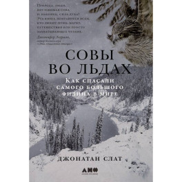 Совы во льдах. Как спасали самого большого филина в мире