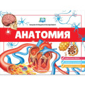 Анатомия. 3D-энциклопедия-панорамка