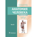 Анатомия человека. Учебник. В 2 томах. Т. 2