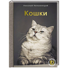 Кошки