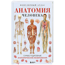 Анатомия человека. Популярный атлас. Самые подробные анатомические изображения