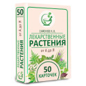 Лекарственные растения от А до Я. 50 карточек