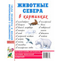 Животные севера в картинках. Наглядное пособие для педагогов, логопедов, воспитателей и родителей