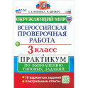 ВПР. Окружающий мир. 3 класс. Практикум по выполнению типовых заданий. 10 вариантов заданий. ФГОС