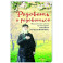 Радовать и радоваться. Практические советы архимандрита Иоанна (Крестьянкина)